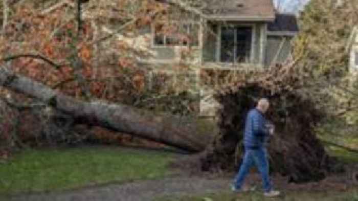 Fallen trees cause widespread damage after bomb cyclone