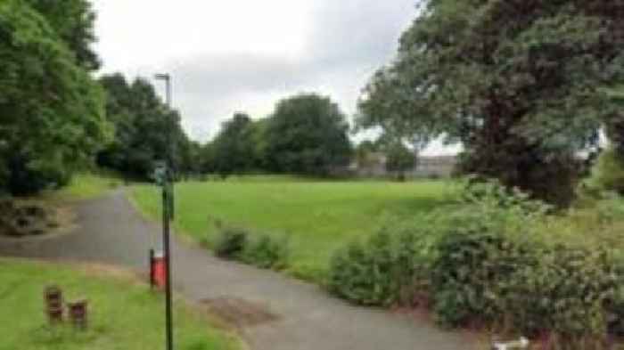 School with 'no green space' requests park lease