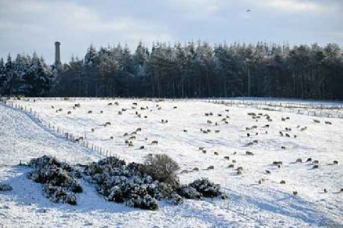 Exact hour 16-inch snow bomb starts and ends in England this weekend