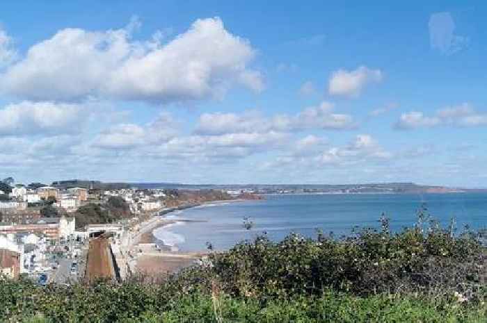 RAF veteran dies after car crashes into tree near Torquay