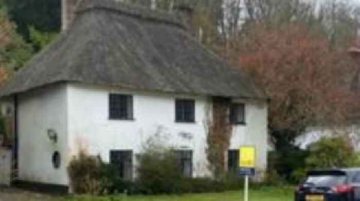 Mummified cat found in cottage's thatched roof