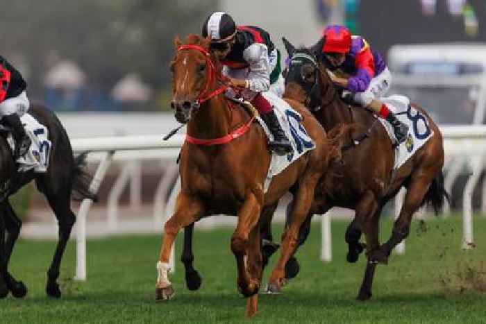 Young can be a Champion again at Sha Tin