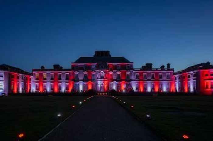 Wimpole Estate's stunning Christmas light display where magical birds come to life