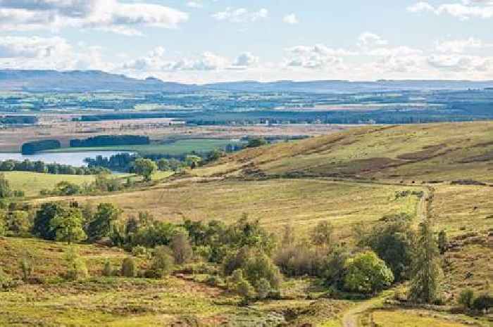 Farm with views of Scotland's only lake goes up for sale in 'rare opportunity'