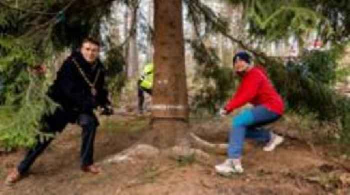 Trafalgar Square's 'majestic' Christmas tree felled