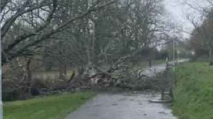 Storm Bert brings wind and rain to South West