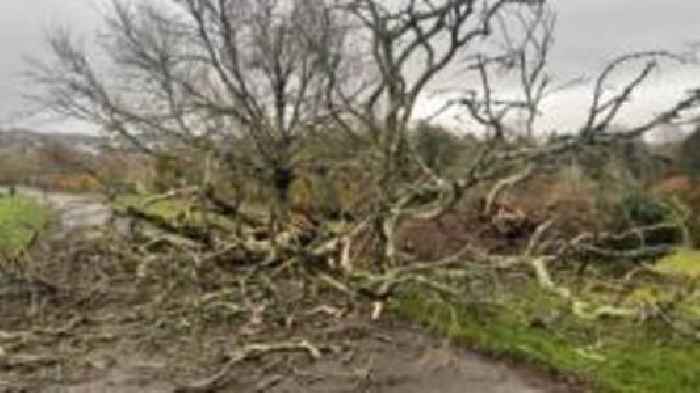 Storm Bert brings wind and rain to the South West