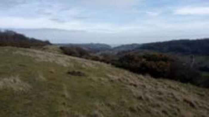 Chalk grassland restoration to create habitats