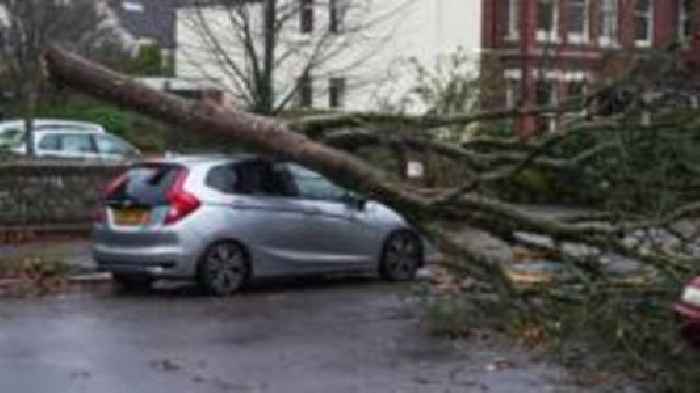 Wind batters buildings and closes events in Sussex