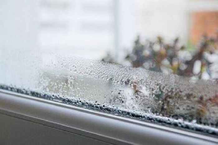 Get rid of condensation with simple step to remove moisture without opening windows