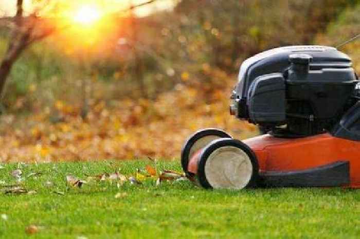 Lawns 'thrive throughout winter' and stay healthy all year if five simple tasks are done now