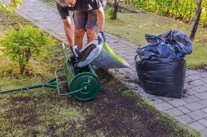 Gardeners urged to check one thing before cold weather takes hold this weekend