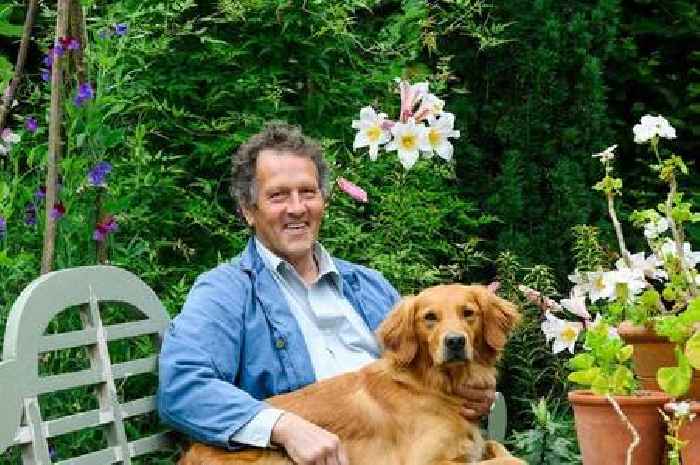 Monty Don reveals best time of year to plant trees and shrubs for 'root growth' by Christmas