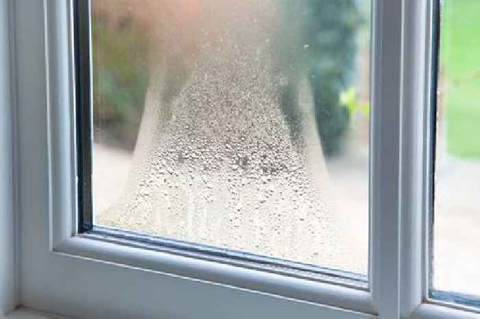 'Best solution' to tackle window condensation and prevent mould this winter