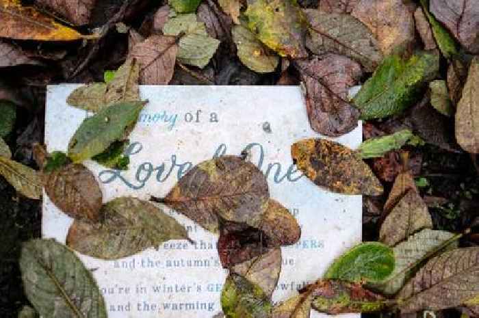 Mysterious wishing well in Cornwall that brings 'good fortune'