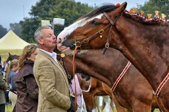 Doc Martin star Martin Clunes explains why Jeremy Clarkson's TV farm series strikes such a chord with him