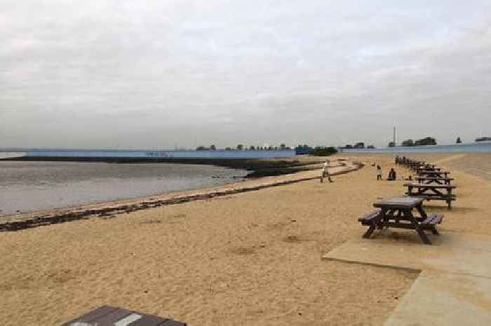 The lesser known Essex beach with a cafe and children's play area perfect for a winter walk