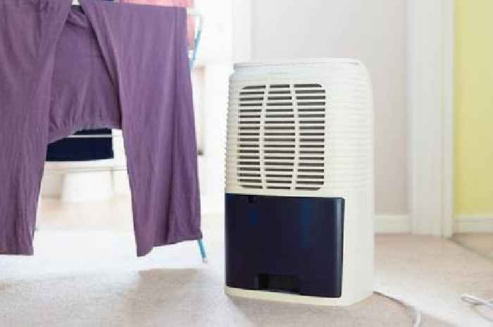 Warning over common dehumidifier mistake that 'affects energy efficiency'