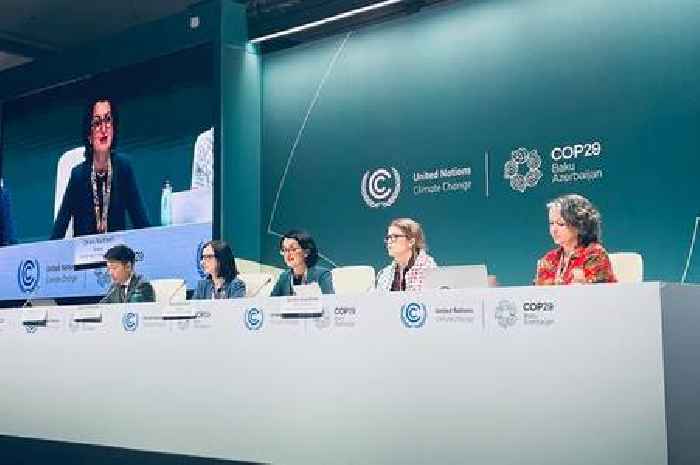 Finance deal remains elusive at Cop29 as UN climate talks stretch into overtime