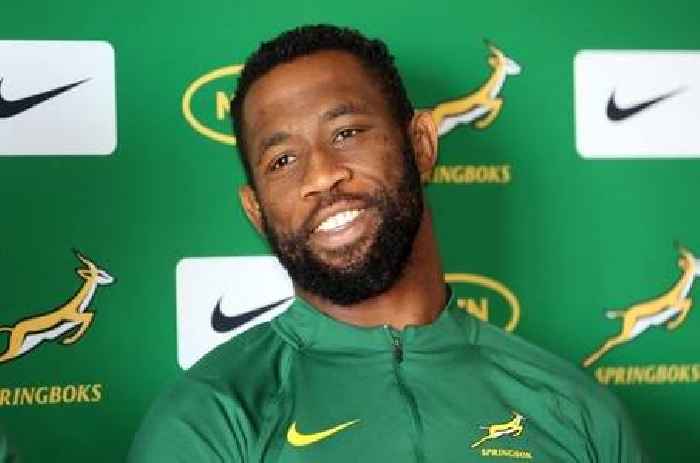 News24 | Best Boks ever? A compliment, but it's about more than that for Rassie's rugby giants