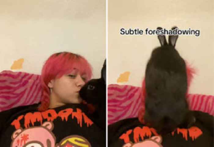 Woman Filming Cute Video Gets Face Humped by Pet Rabbit