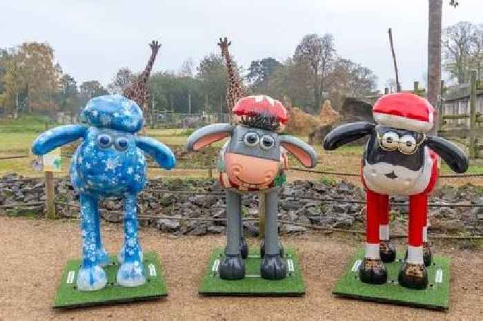 Shaun the Sheep brings festive fun to Bristol Zoo with new sculpture trail