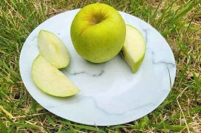 Gardeners urged to leave out apples from today for important reason