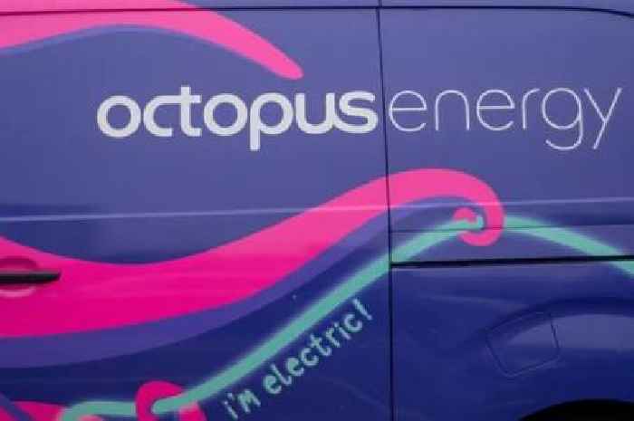 Octopus Energy tells customers they can slash bills by £300