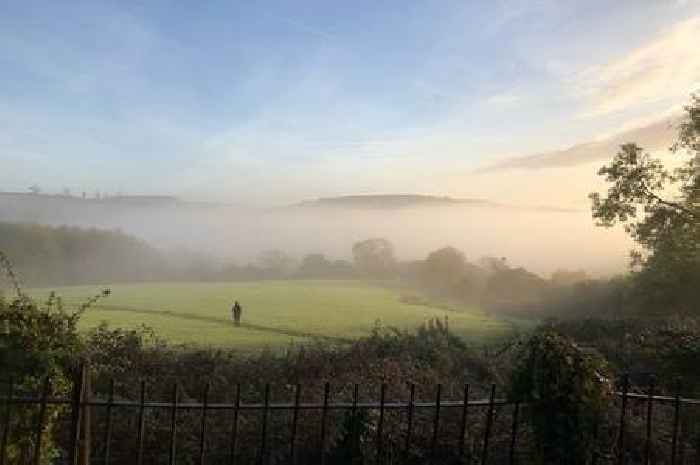 Help shape the future of a new nature reserve in stunning UK city