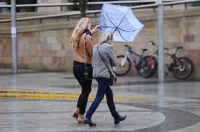 Cambridgeshire braces for strong winds as Met Office issues weather warning