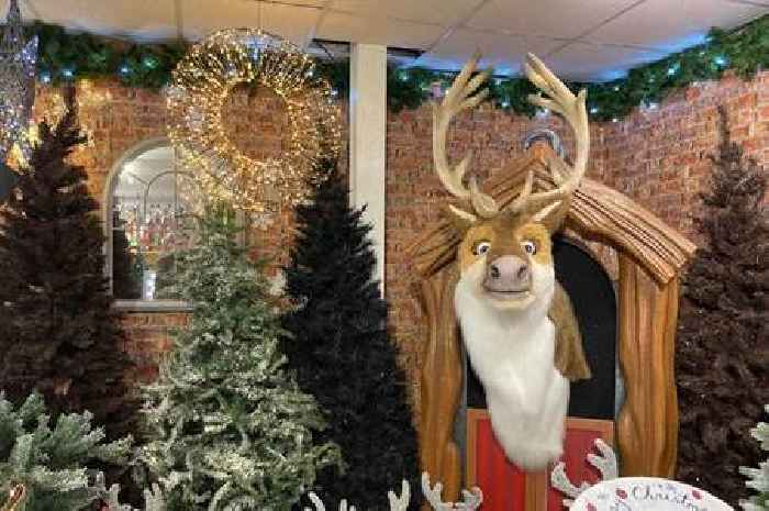 'I visited a Cambridgeshire family-run farm shop that has everything you need for Christmas'