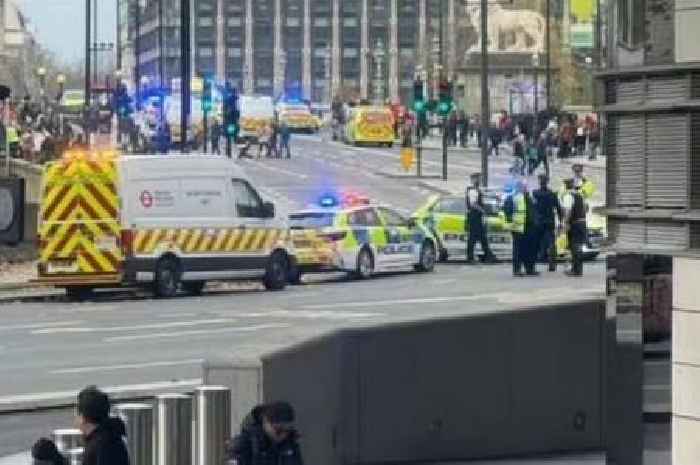 Man fighting for life after being stabbed on Westminster Bridge in front of tourists