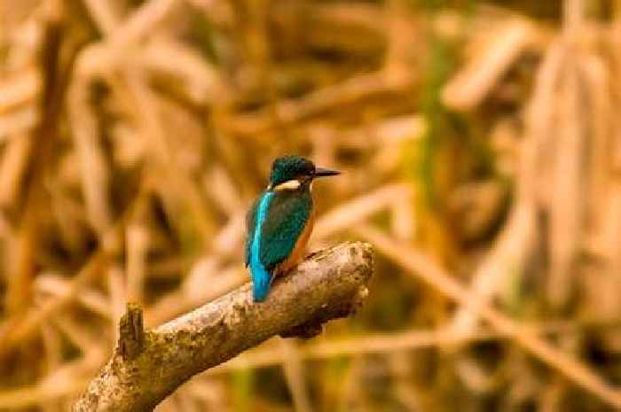 Nature reserve warden is guest speaker at Motherwell Photographic Society