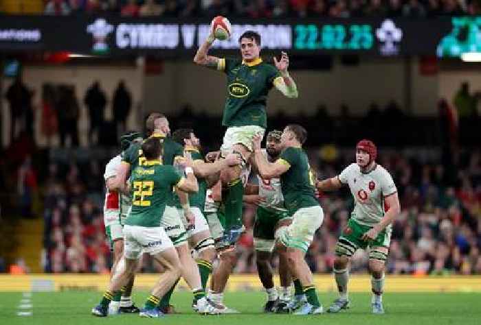 News24 | ANALYSIS | If these Boks are a work-in-progress, how good will the complete article be?