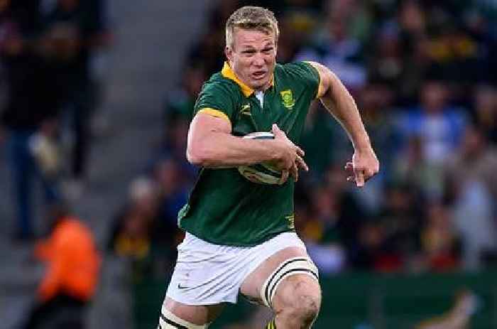 Sport | Springbok stalwart Pieter-Steph du Toit named World Rugby Player of the Year