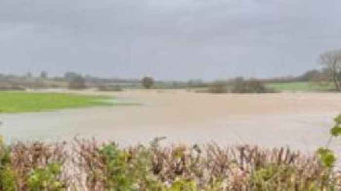 Flood warnings across Dorset as river levels climb