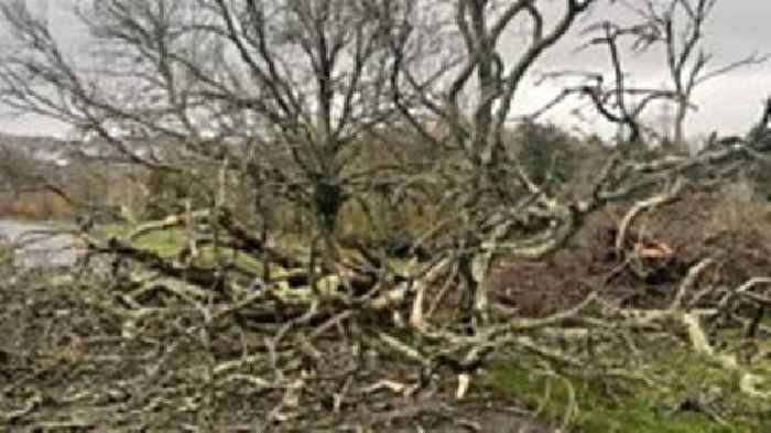 The clear up is underway across Devon after the stormy weather