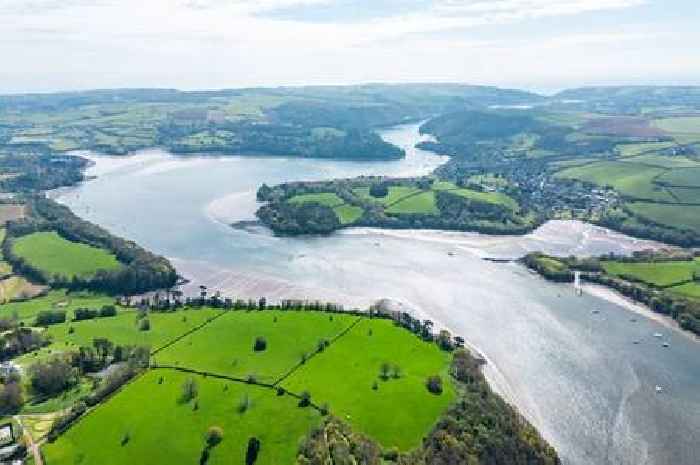 Sewage discharged into Devon rivers after Storm Bert brings heavy rain