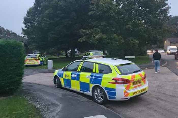 Police searching for 'Mini-type car' after Essex village crash leaves 'many people in hospital'