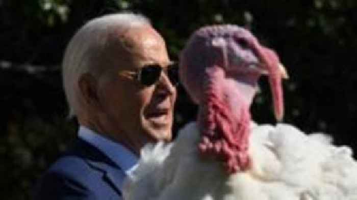 President Biden pardons turkeys at White House