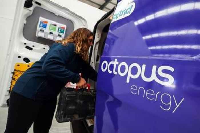 Octopus Energy offers £300 annual saving with new heat pump grant as bills rise