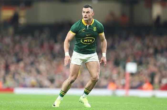 News24 | Springboks' defence captain Kriel helping bridge transition from Nienaber to Flannery