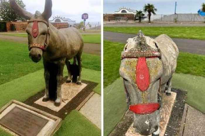 Cleethorpes' Dudley Donkey statue revamp to fix ear and body damage