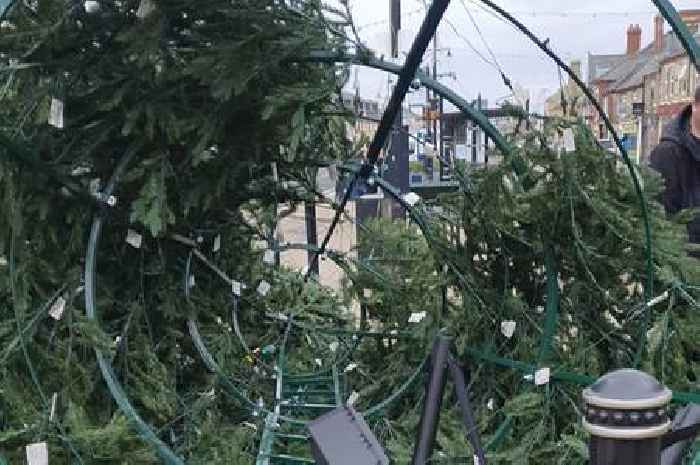 Cambridgeshire Christmas tree topples after someone 'removes sandbags' in 'disgraceful' move