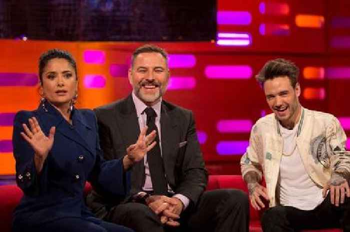 David Walliams would 'probably' describe himself as 'non-binary' if he was a teen today