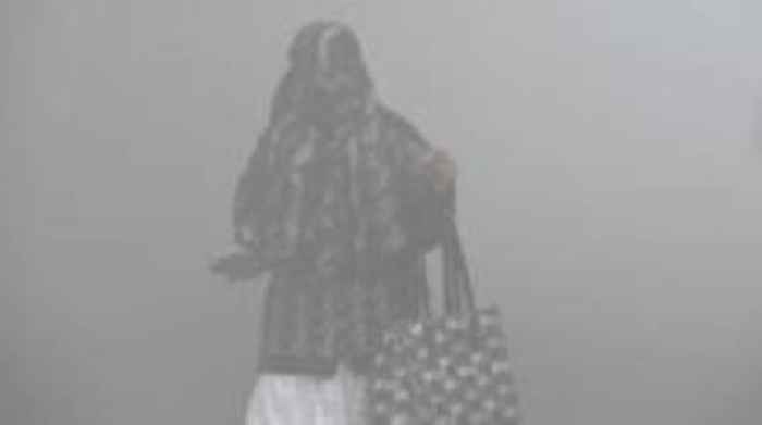 The families fleeing Delhi to escape deadly smog