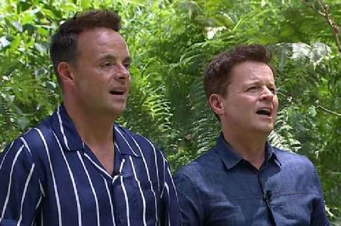 Ant and Dec hit with 70 Ofcom complaints over I'm A Celebrity joke