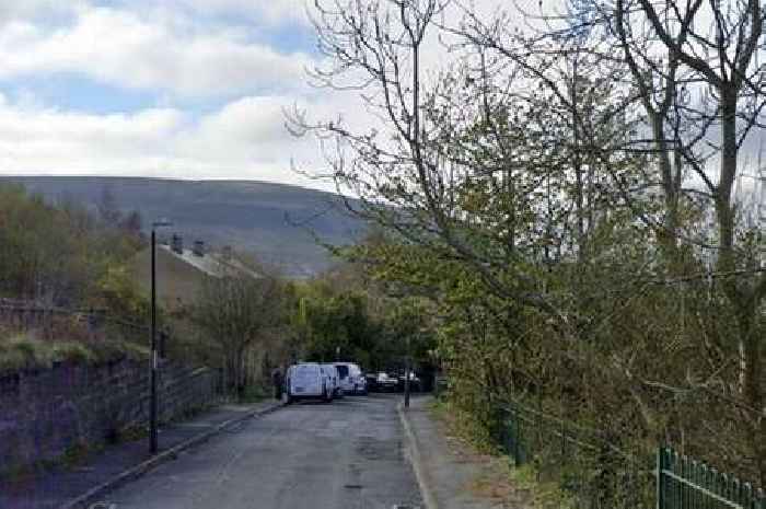 Police issue update after girl suffers 'life-changing injuries' in Nantyglo XL Bully dog attack