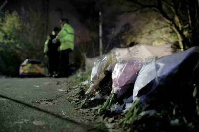 Remains of newborn baby girl found in field by dog walker
