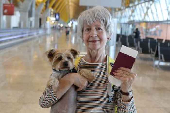 Pet owners to need 'passports' to go from one part of UK to another